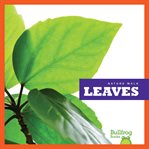 Leaves cover image cdn