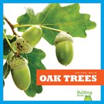 Oak trees cover image cdn