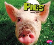 Pigs cover image cdn