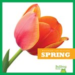 Spring cover image cdn