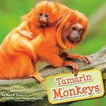 Tamarin monkeys cover image cdn