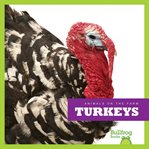 Turkey cover image cdn