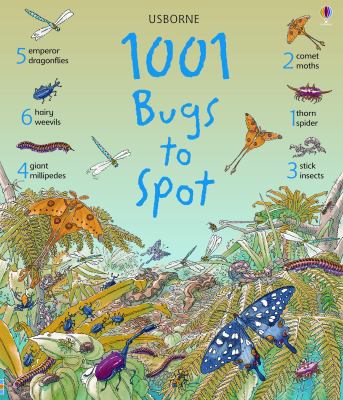 1001 bugs to spot cover image