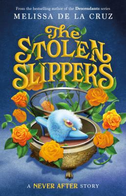 The stolen slippers cover image