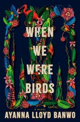 When we were birds cover image