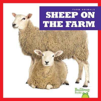 Sheep on the farm  cover image cdn