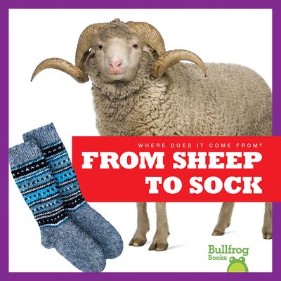 From sheep to sock cover image
