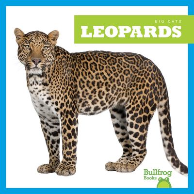 Leopards  cover image cdn