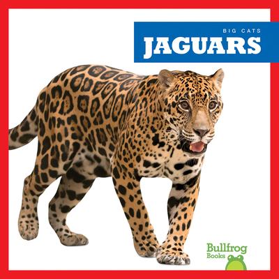 Jaguars  cover image cdn