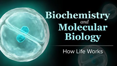 Biochemistry and Molecular Biology: How Life Works cover image cdn