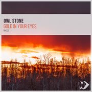 Gold in your eyes cover image cdn
