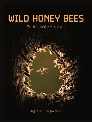 Wild honey bees : an intimate portrait  cover image cdn
