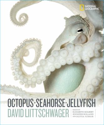 Octopus, seahorse, jellyfish  cover image cdn