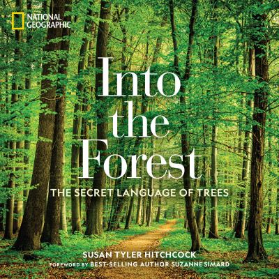 Into the forest : the secret language of trees  cover image cdn