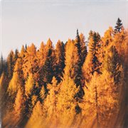 Tunes for fall cover image cdn