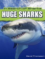HUGE SHARKS cover image cdn