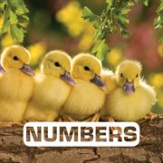 Numbers cover image cdn