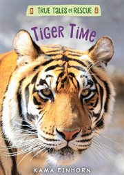 Tiger time cover image cdn