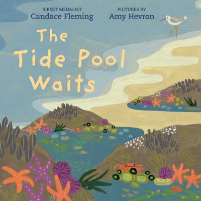 The tide pool waits cover image