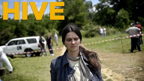 Hive cover image cdn