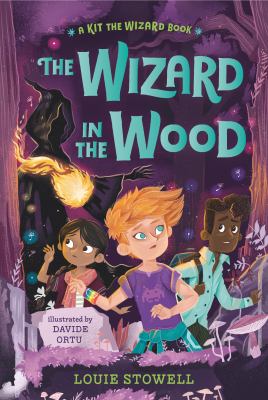 The wizard in the wood  cover image cdn