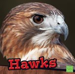 Hawks cover image cdn