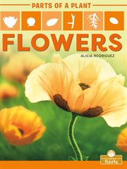 Flowers cover image cdn