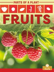 Fruits cover image cdn