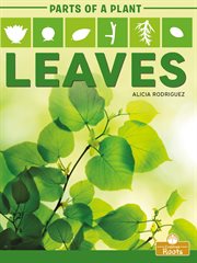 Leaves cover image cdn