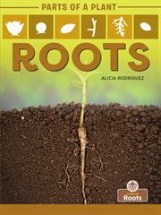 Roots cover image cdn