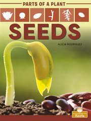 Seeds cover image cdn