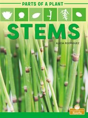 Stems cover image cdn
