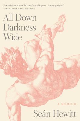 All down darkness wide : a memoir cover image