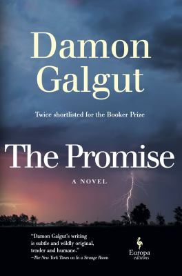 The Promise (Booker Prize Winner) cover image