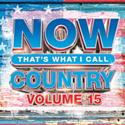Now that's what I call country. Volume 15 cover image