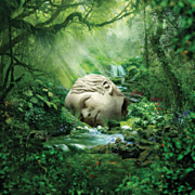 SZNZ. "Spring" cover image cdn