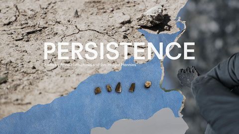 Persistence cover image cdn
