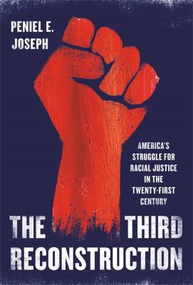 The third reconstruction : America's struggle for racial justice in the twenty-first century  cover image cdn