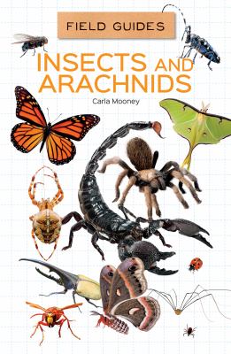 Insects and arachnids cover image