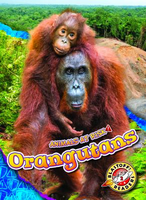 Orangutans cover image
