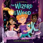 The wizard in the wood cover image cdn