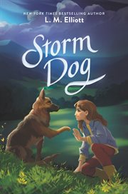 Storm dog cover image cdn