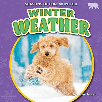 Winter weather cover image