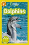 Dolphins cover image cdn
