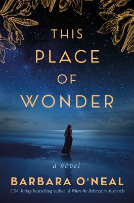 This place of wonder cover image