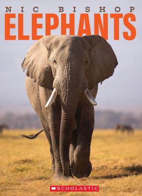 Elephants cover image