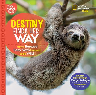 Destiny finds her way : how a rescued baby sloth learned to be wild cover image
