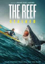 The reef stalked  cover image cdn