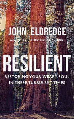 Resilient restoring your weary soul in these turbulent times  cover image cdn