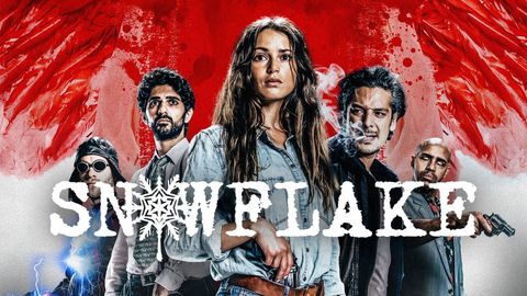 Snowflake cover image cdn